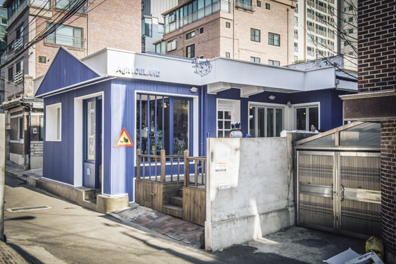 아지트아이슬란드 이미지