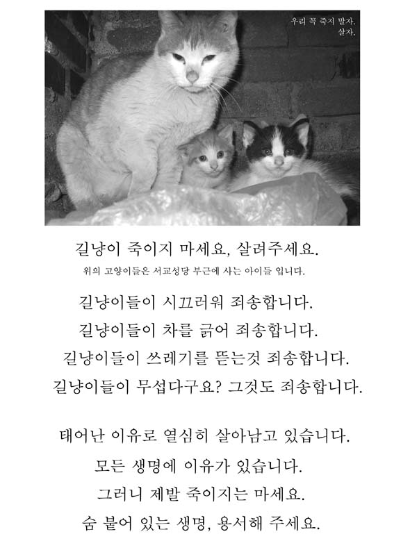 이진음악이야기 이미지